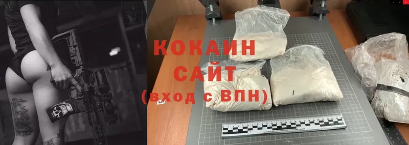 где продают наркотики  Ульяновск  hydra рабочий сайт  Кокаин Fish Scale 