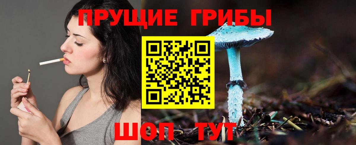 Ульяновск  Галлюциногенные грибы GOLDEN TEACHER  Вход с VPN  Галлюциногенные грибы мицелий 
